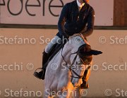 Berlin dei Folletti TosTour2013- S5 3202 : Arezzo, Arezzo Equestrian Centre, Berlin dei Folletti, Cavalli d'Italia, Toscana Tour 2013, foto di Stefano Secchi ©